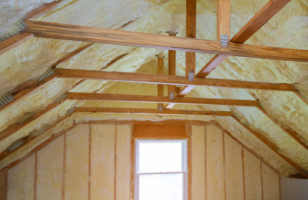 Best Insulation Repair Services  in Freeport, IL