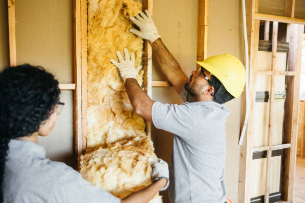 Best Crawl Space Insulation  in Freeport, IL