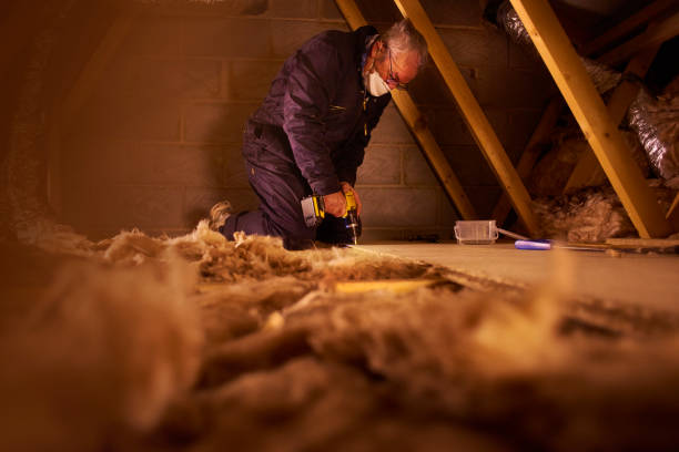 Best Attic Insulation Installation  in Freeport, IL