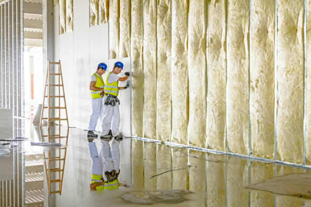 Best Insulation Removal  in Freeport, IL